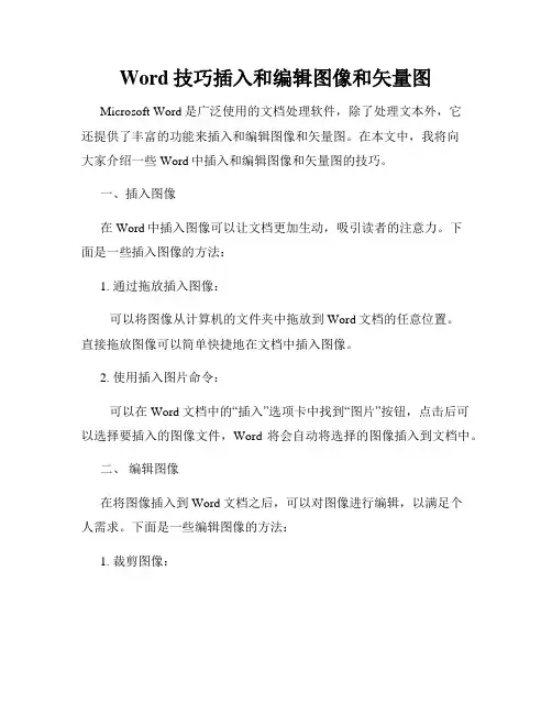 Word技巧插入和编辑图像和矢量图