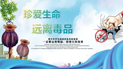 《珍爱生命,远离毒品》PPT班会课件