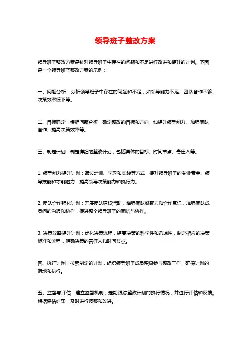 领导班子整改方案