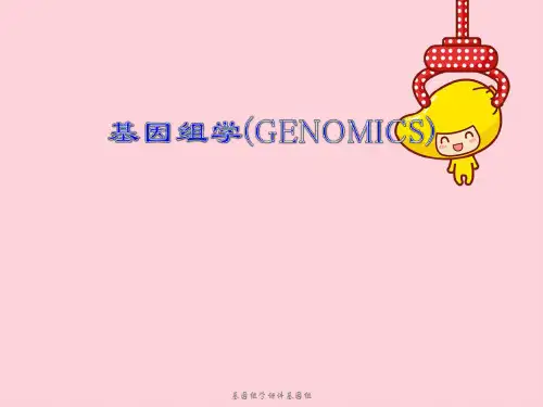 基因组学课件基因组