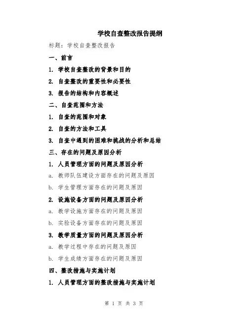 学校自查整改报告提纲