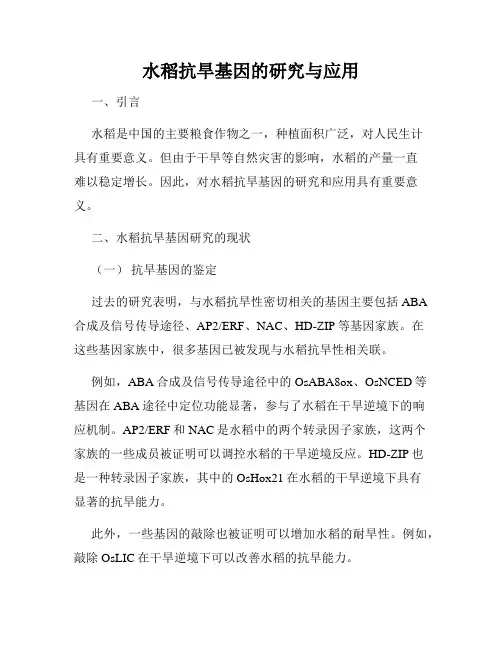 水稻抗旱基因的研究与应用