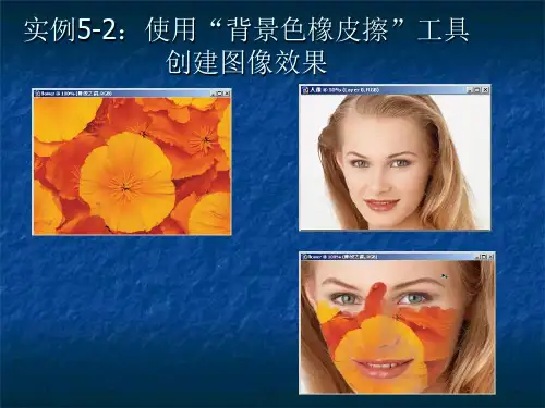 教学课件第五章Photoshop工具与绘图
