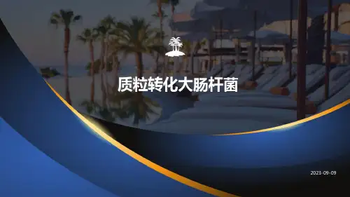 质粒转化大肠杆菌