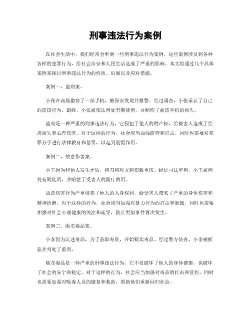 刑事违法行为案例