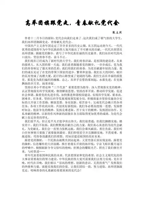 高举团旗跟党走 青春献礼党代会