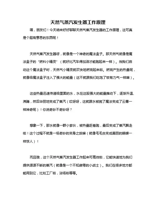 天然气蒸汽发生器工作原理