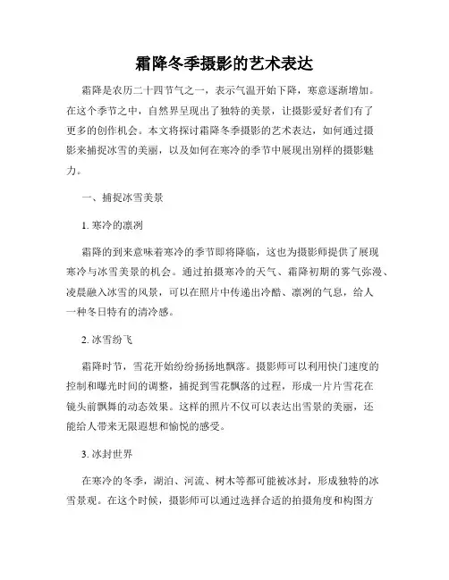 霜降冬季摄影的艺术表达
