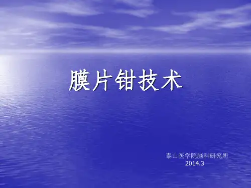 膜片钳技术原理及相关基本知识0306