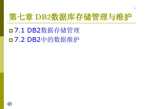 DB2数据库存储管理与维护