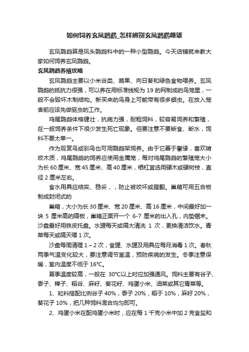 如何饲养玄凤鹦鹉_怎样辨别玄凤鹦鹉雌雄