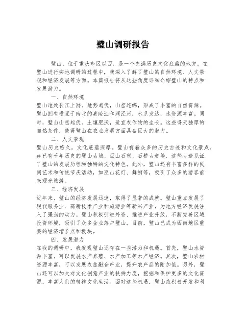 璧山调研报告