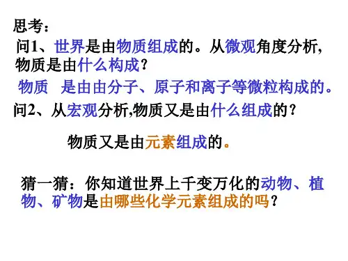 组成物质的元素PPT课件(初中科学)