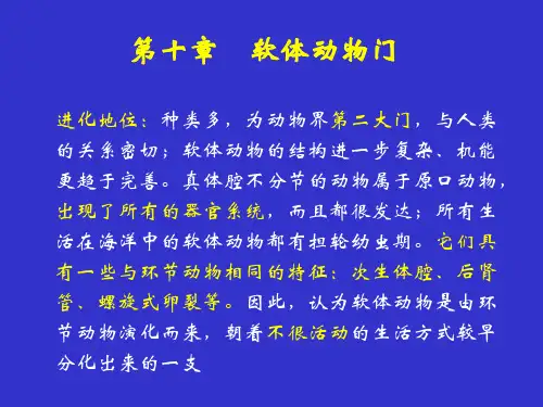 普通动物学：第十章 软体动物门