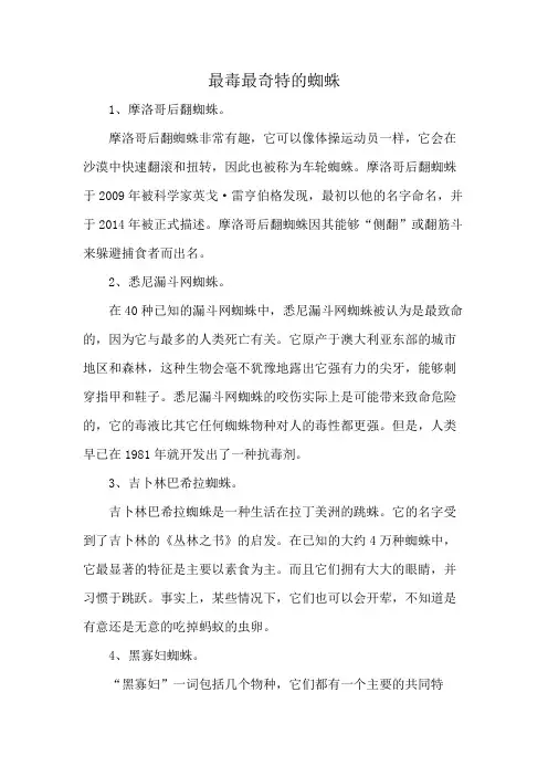 最毒最奇特的蜘蛛
