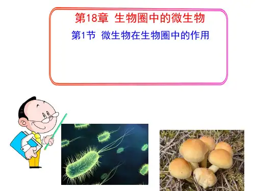 北师大版初中生物八年级上册 5.18.1 微生物在生物圈中的作用 课件(共42张PPT)