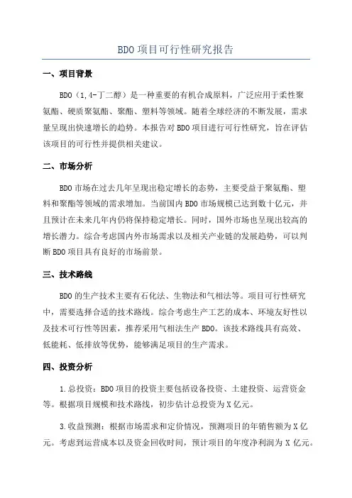 BDO项目可行性研究报告