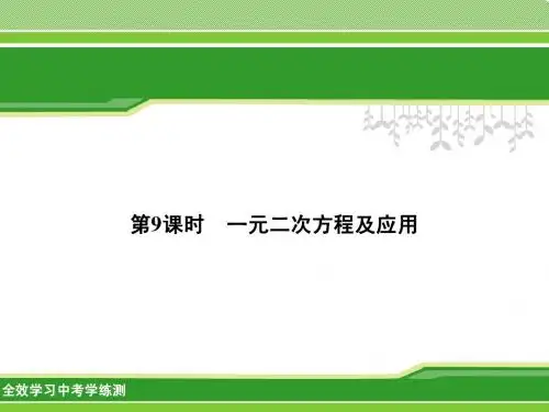 2014中考数学名师课件：第9课时 一元二次方程及应用(考点管理+归类探究+易错警示+课时作业,
