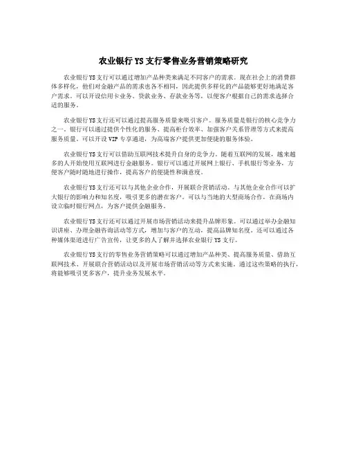 农业银行YS支行零售业务营销策略研究