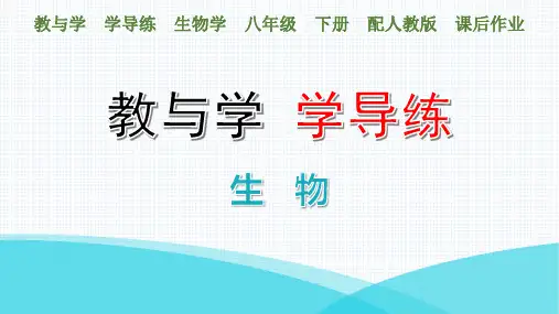 最新人教版八年级下册生物第八单元第二章  用药与急救