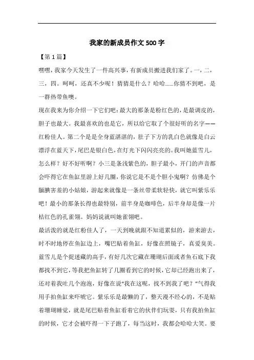 我家的新成员作文500字
