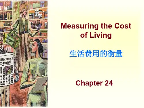 Chap24生活费用的衡量.ppt