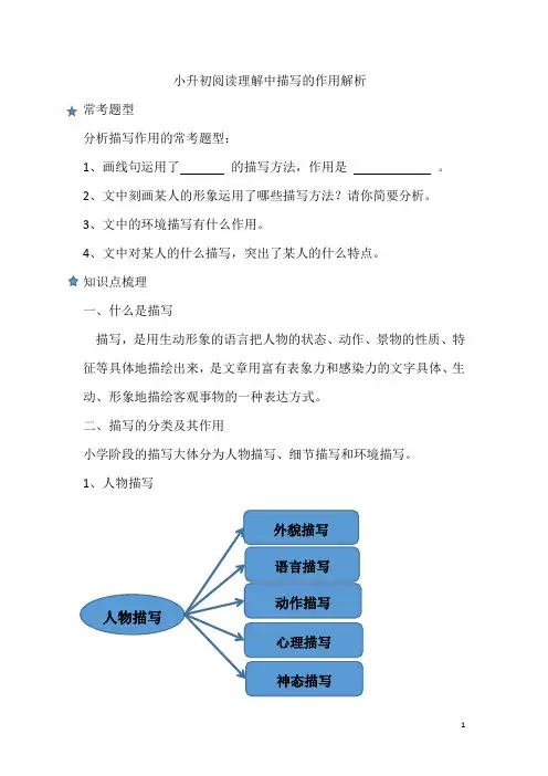 六年级小升初阅读理解中人物描写环境描写细节描写的作用分析