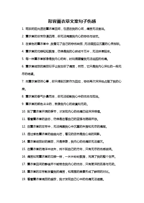 形容薰衣草文案句子伤感