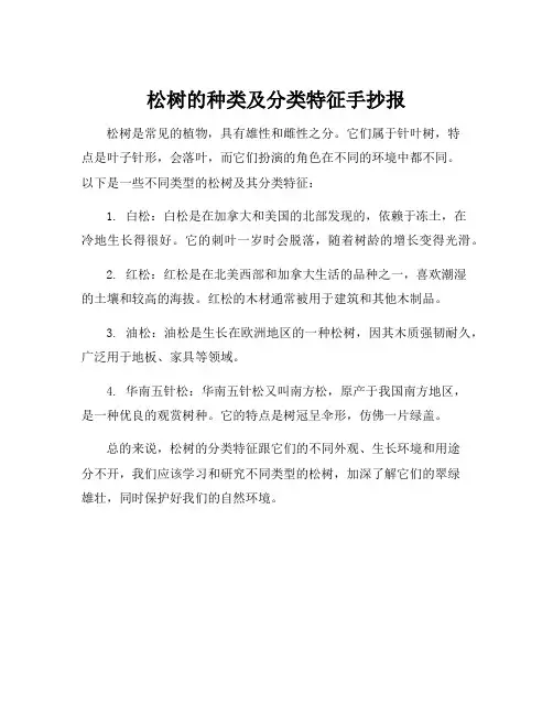 关于松的手抄报内容