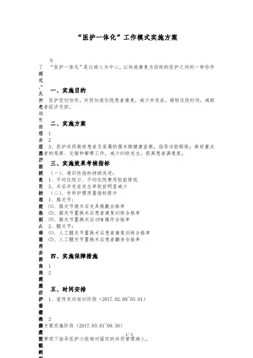 医护一体化工作方案.doc