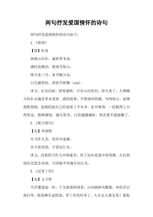 两句抒发爱国情怀的诗句