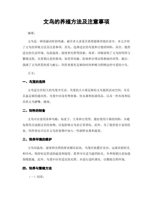 文鸟的养殖方法及注意事项