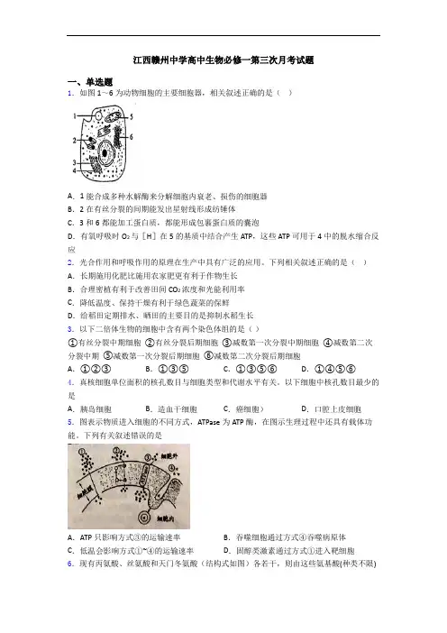 江西赣州中学高中生物必修一第三次月考试题
