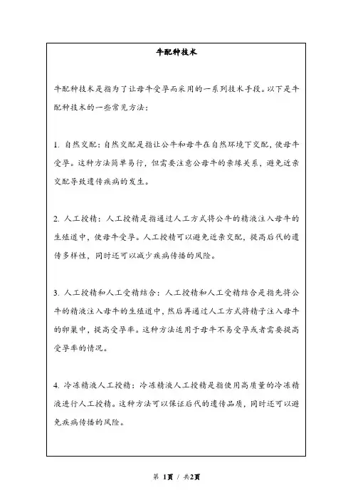牛配种技术