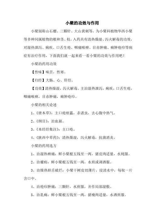 小檗的功效与作用