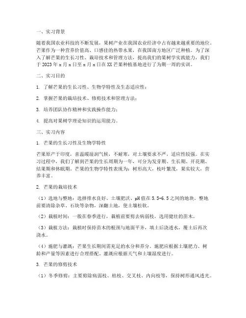 果树学实训报告芒果