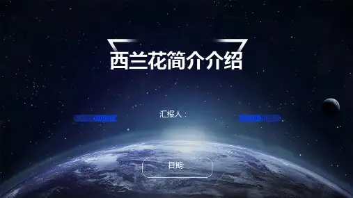 西兰花简介介绍