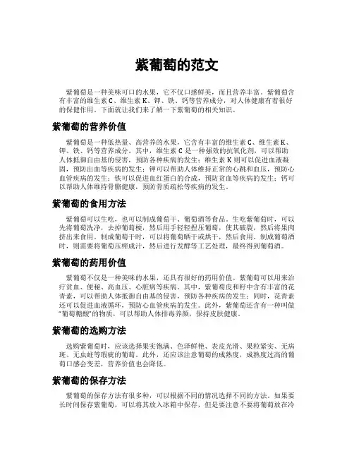 紫葡萄的范文
