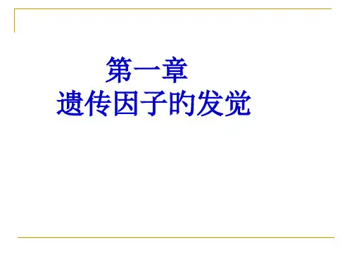 高三生物高考一轮复习第一章-遗传因子的发现课件人教版必修2省名师优质课赛课获奖课件市赛课一等奖课件