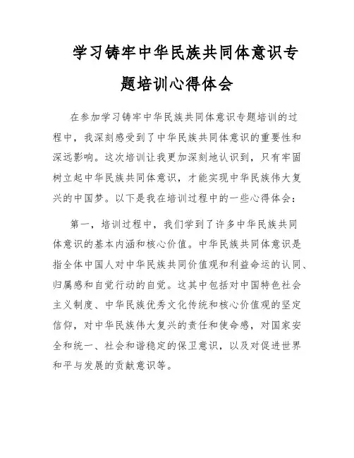 学习铸牢中华民族共同体意识专题培训心得体会