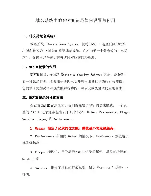 域名系统中的NAPTR记录如何设置与使用(十)