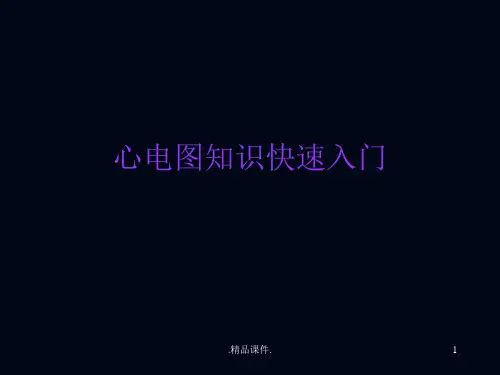 完整版心电图知识快速入门.ppt