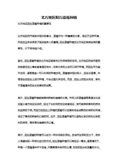 北方地区阳台蓝莓种植
