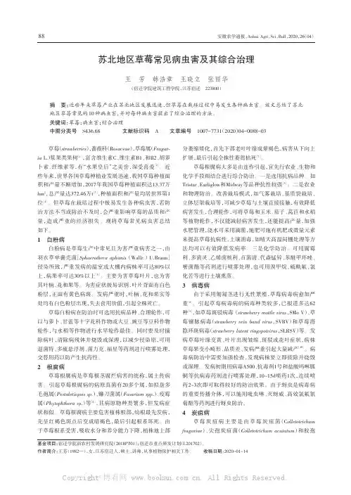 苏北地区草莓常见病虫害及其综合治理