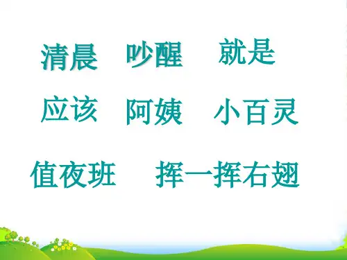 二年级语文上册 让猫头鹰好好睡觉课件1 西师大版