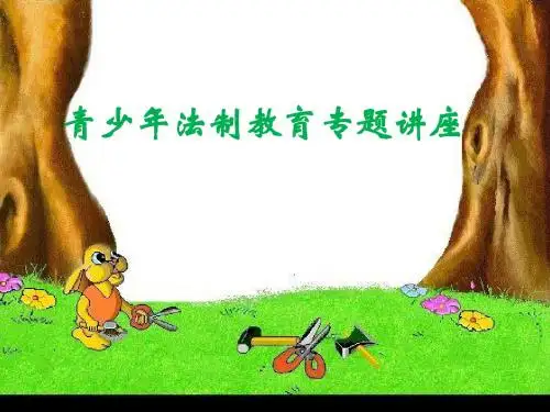 青少年法制教育专题讲座ppt课件