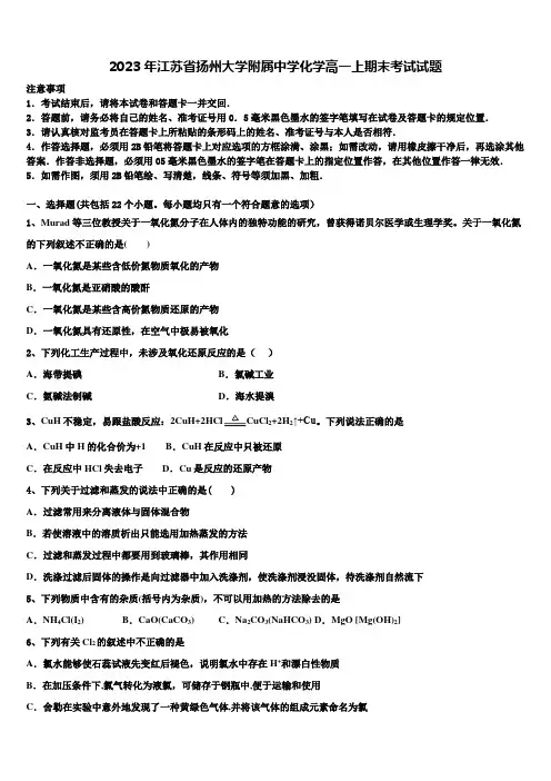 2023年江苏省扬州大学附属中学化学高一上期末考试试题含解析