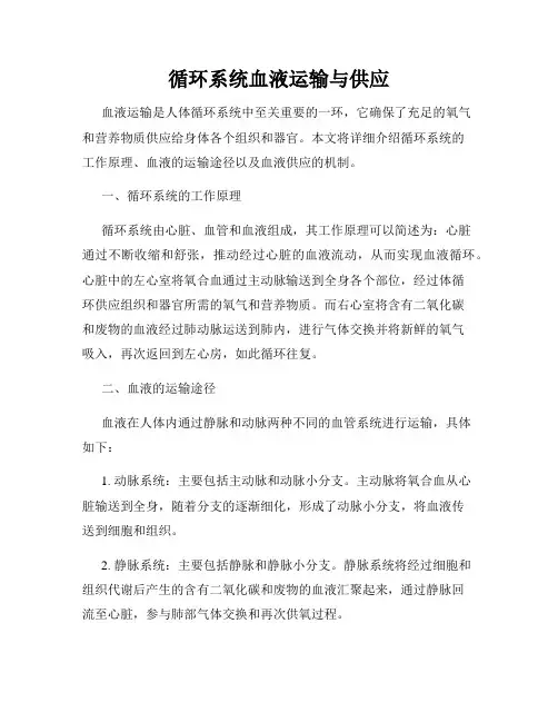 循环系统血液运输与供应