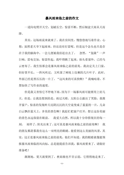 暴风雨来临之前的作文