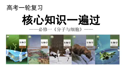 高中生物课件-第5讲 细胞膜的结构与功能-高三一轮复习